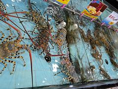 -渔民新村(番禺总店)