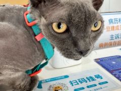 -美联众合动物医院·24h京西诊疗中心