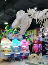 -卡通尼·Safari非洲探索乐园·生日会(金桥国际商业广场店)