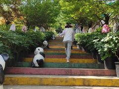 -盛世牡丹苑生态文化旅游区