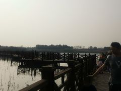 -上海海湾国家森林公园