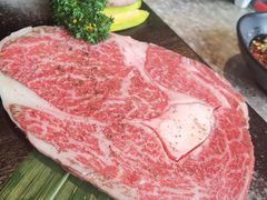 -炼火烤肉店