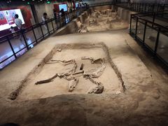 -洛阳周王城天子驾六博物馆