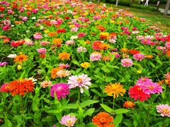 -汉长安城未央宫国家考古遗址公园