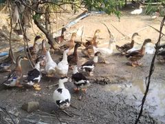 -新塘水果乐园(东洲大道店)