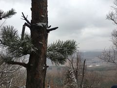 -帽儿山国家森林公园