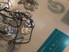 -中国湿地博物馆