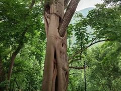 -丰都鬼城名山景区