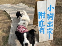 -小意思咖啡店(草桥店)