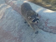 -泉州海丝野生动物世界