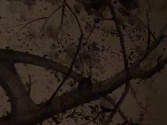 -鹤祥宫·影院足道·SPA连锁(鸿尊布吉店)