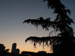 -山东师范大学(千佛山校区)