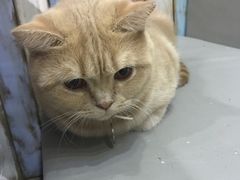 -小时光咖啡馆(开森度假森林店)
