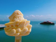 -招商蛇口邮轮母港(观光客运)