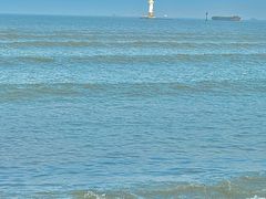 -上海吴淞炮台湾国家湿地公园
