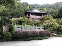 -十八棵（老龙井）御茶园(老龙井店)