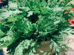 -享月汤皇·海鲜小火锅·聚会(曲江创意谷店)