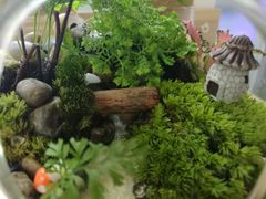 -A+匠心DIY手工坊·首饰·微景观