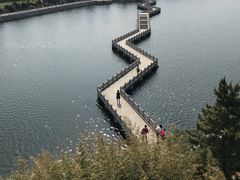 -莫内艺术岛海景咖啡