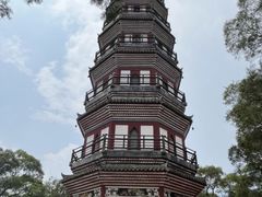 -顺峰山公园