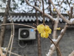 -月坛公园