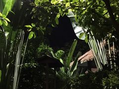-碧桂园润杨溪谷温泉酒店