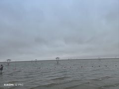 -碧海金沙