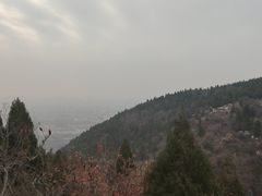 -府君山公园