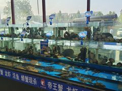 -小红鲸·海鲜餐厅(轸大路店)