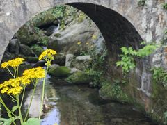 -石台牯牛降景区
