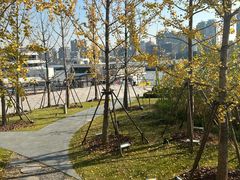 -北外滩滨江绿地