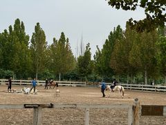 -北京群众马术培训基地