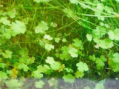 -远洋未来广场(育慧北路店)