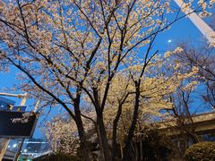 -黄浦路(地铁站)