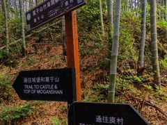 -莫干山风景区