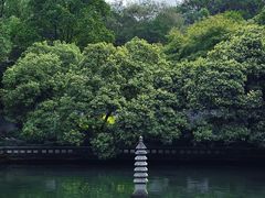 -杭州植物园