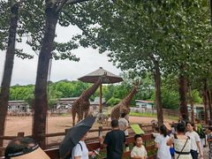 -大连森林动物园