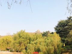 -八大关景区