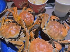 -凯悦·东方公主号 全球海鲜自助餐厅(凯丹广场店)