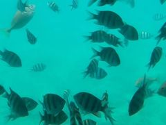 -亚龙湾海底世界