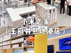 -小米之家(西安王府井熙地港店)