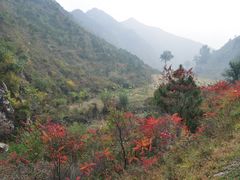 DSC_0030-百里山水画廊乌龙峡谷