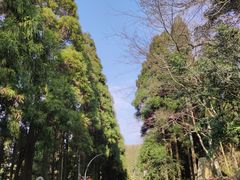 -鼓岭旅游度假区