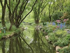 -上海共青森林公园