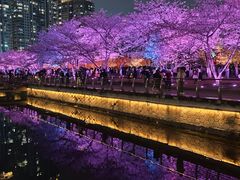 -西北湖绿化广场