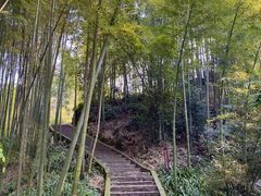 -蜀南竹海景区