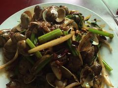 -东戴河风景区-止锚湾