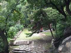 -北京鹫峰国家森林公园