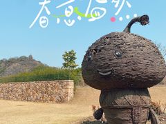 -上海辰山植物园