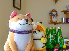 -柴犬小屋·柴餐厅·狗咖食堂(金鼎广场店)